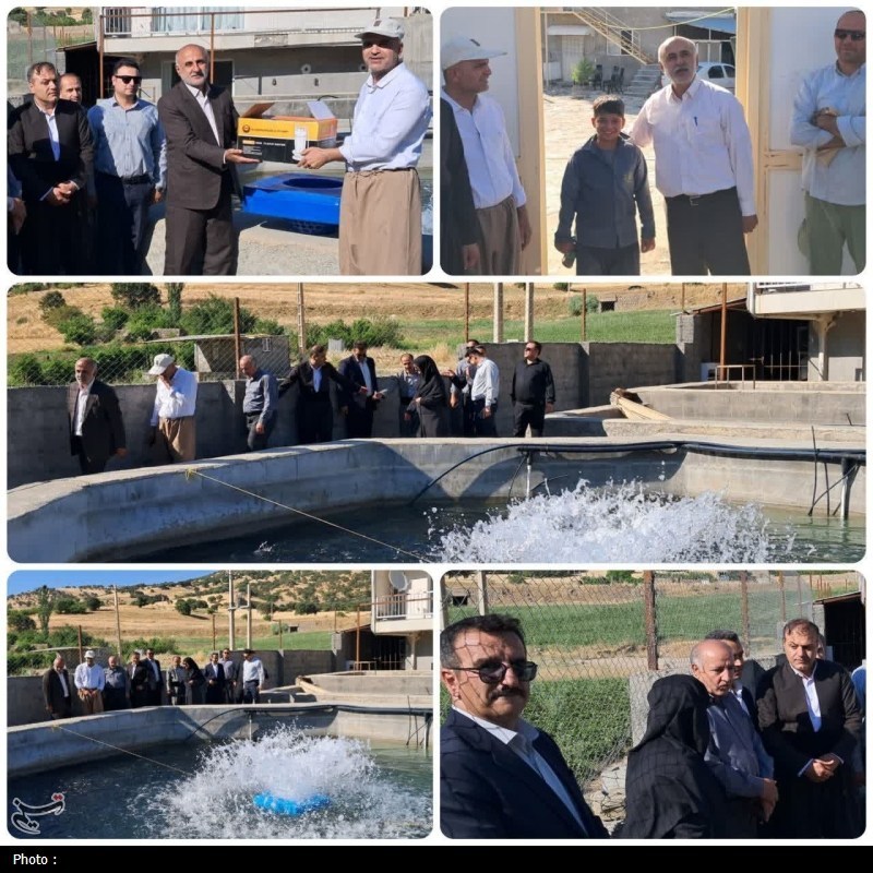 اخبار استان کردستان , کشاورزی , پرونده "کشاورزی، ناجی اقتصاد" , ستاد توسعه اقتصاد دانش‌بنیان غذا و کشاورزی , 