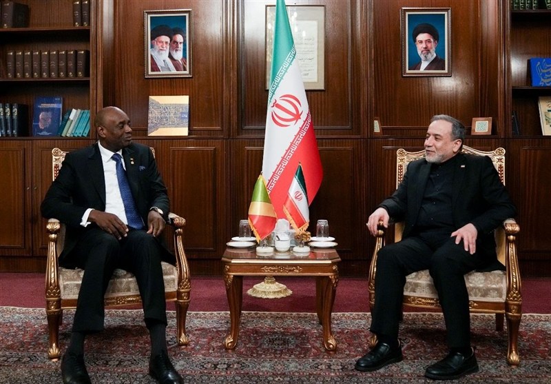 سید عباس عراقچی , قاره آفریقا , تشییع رهبر شهید , تشییع آیتاللهالعظمی سید علی خامنهای , تشییع امام شهید ,