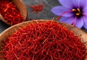 تحول در زنجیره ارزش زعفران و گیاهان دارویی خراسان رضوی