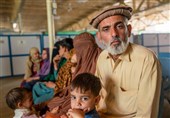 سازمان ملل خواستار توقف اخراج اجباری پناهجویان افغان از پاکستان شد