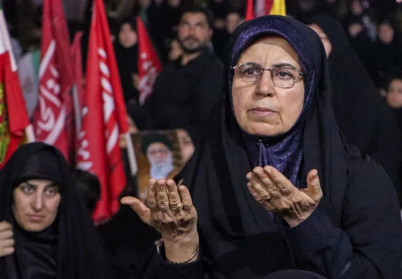 اخبار استان بوشهر , اخبار بوشهر , نظام مسائل استان بوشهر , 