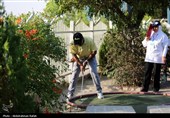 مسابقات مینی گلف قهرمانی کشور درهمدان