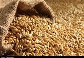 نیاز تعاون روستایی استان کرمان به هزار میلیارد تومان نقدینگی