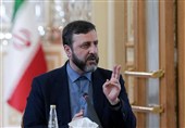 غریب آبادی: على الإمارات الالتزام بالحقائق التاریخیة والقانونیة للمنطقة