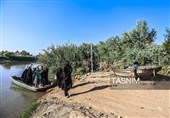 مسیرة الأربعین الحسینی فی منطقة الرفاعی بالعراق