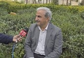 پیش‌بینی خرید 120 هزار تن برگ سبز چای‌ از باغداران ‌گیلان و مازندران
