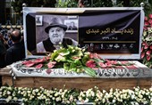 اکبر عبدی اعتبارش را از جشنواره ها نمی‌گرفت/ایران کمدین‌های زیادی دارد