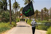 پیاده روی اربعین حسینی در شهر شامیه عراق