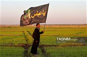 پیاده روی اربعین حسینی در شهر شامیه عراق