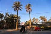 پیاده روی اربعین حسینی در شهر شامیه عراق