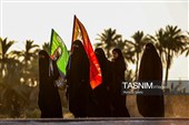 Arbaeen Pilgrims Trek through Iraq's Al-Shamiya on Journey to Karbala