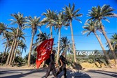 پیاده روی اربعین حسینی در شهر شامیه عراق