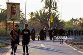 پیاده روی اربعین حسینی در شهر شامیه عراق