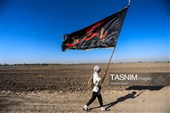 پیاده روی اربعین حسینی در شهر شامیه عراق