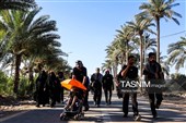 پیاده روی اربعین حسینی در شهر شامیه عراق