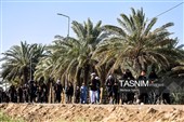 پیاده روی اربعین حسینی در شهر شامیه عراق