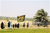 پیاده روی اربعین حسینی در شهر شامیه عراق