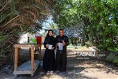 پیاده روی اربعین حسینی در شهر شامیه عراق