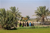 پیاده روی اربعین حسینی در شهر شامیه عراق