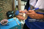 طرح پایش کیفیت و سلامت آب شرب موکبهای مسیر اربعین-همدان