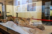 موزه باستان شناسی زنجان واقع در عمارت تاریخی ذوالفقاری این شهر، مومیایی های کشف شده از یک معدن نمک تاریخی را در خود جای داده است