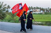 مسيرة زوار أربعينية الإمام الحسين عبر "طريق العلماء"