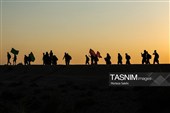مسيرة زوار أربعينية الإمام الحسين عبر "طريق العلماء"