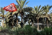 مسيرة زوار أربعينية الإمام الحسين عبر "طريق العلماء"