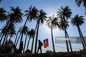 مسيرة زوار أربعينية الإمام الحسين عبر "طريق العلماء"