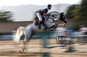مسابقات پرش با اسب جام آلفا