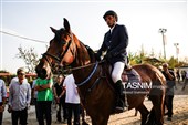 مسابقات پرش با اسب جام آلفا