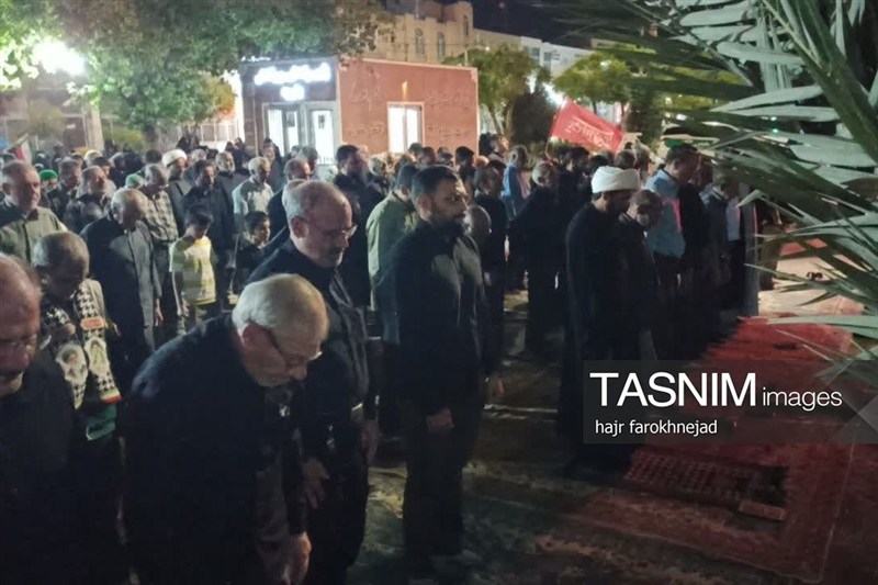 اخبار استان خراسان جنوبی , خبرگزاری تسنیم , 