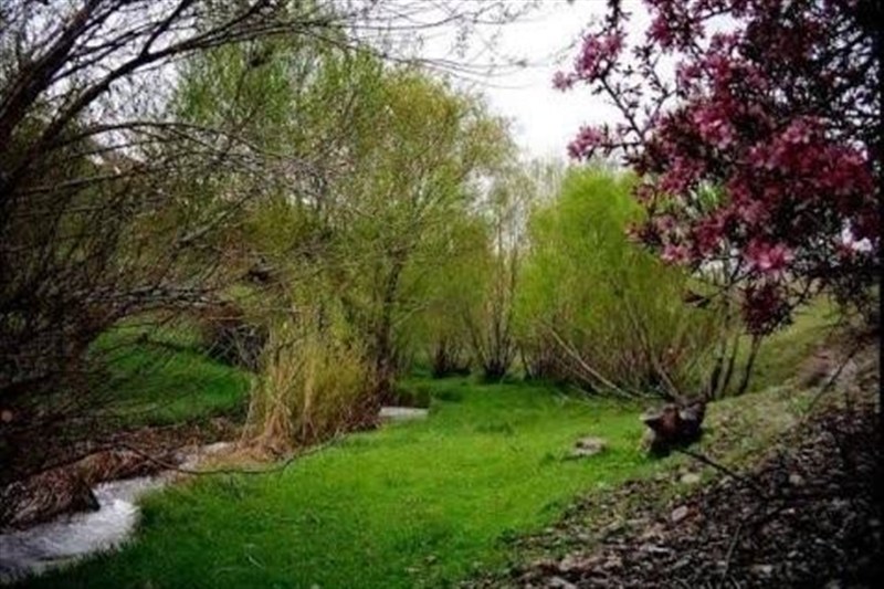 اخبار استان همدان , اخبار نهاوند , 