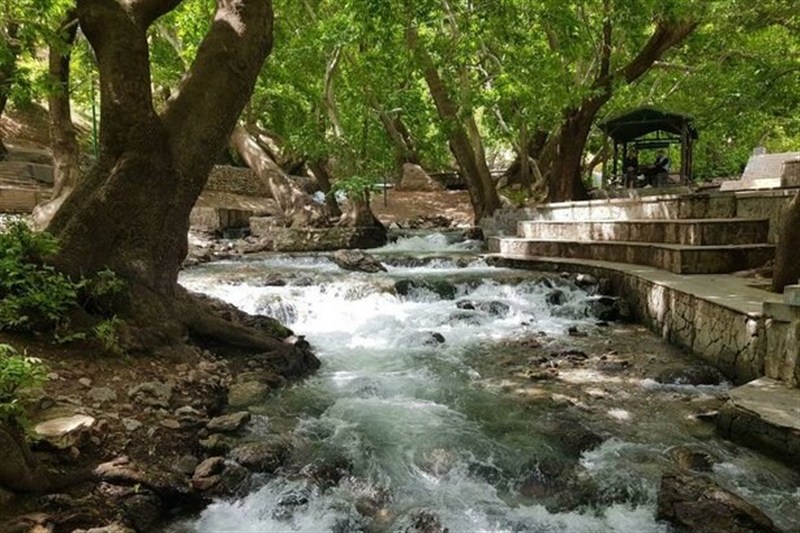 اخبار استان همدان , اخبار نهاوند , 