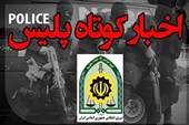 ضربه پلیس به شبکه جرم و جنایت در استان فارس
