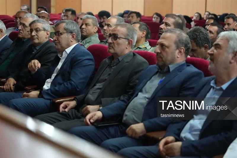 جنگل , اخبار استان کهگیلویه و بویراحمد , اخبار یاسوج , 