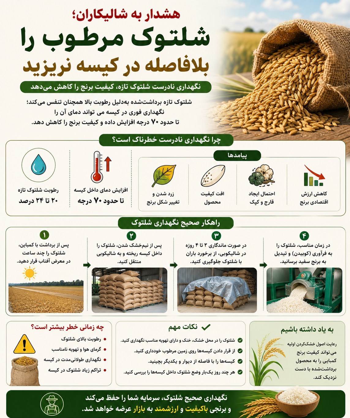 اخبار رشت , اخبار استان گیلان , واردات برنج , کشاورزی , 