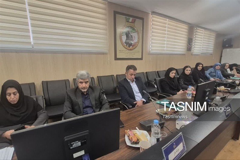بدمینتون , اخبار زنجان , 