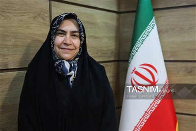 مقصودی: قانون مقابله با نفوذ بیگانگان، سدی دربرابر پروژه‌های نفوذ است