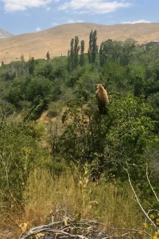 اخبار کرج , اخبار استان البرز , جاده چالوس , زندگی روستایی , نظام مسائل استان البرز , نظام مسائل استان ,