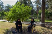 والدین چشم انتظار کنکور سراسری
