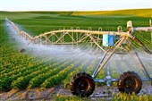 پیامدهای قطع سوخت واحدهای تولیدی سیستان و بلوچستان؛ تولید متوقف می‌شود