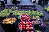 Ruyan: Kırmızı Salkımların Diyarı