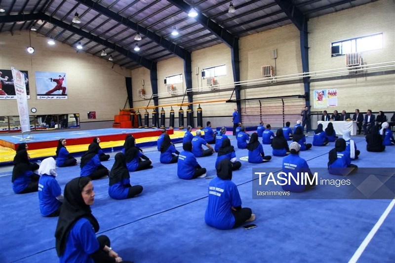 اخبار سنندج , اخبار استان کردستان , ووشو , ووشو ایران , 
