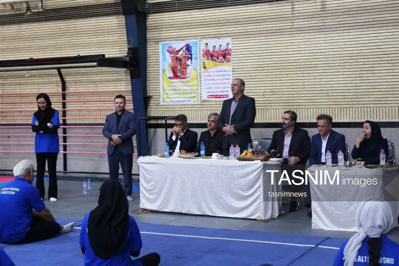 اخبار سنندج , اخبار استان کردستان , ووشو , ووشو ایران , 