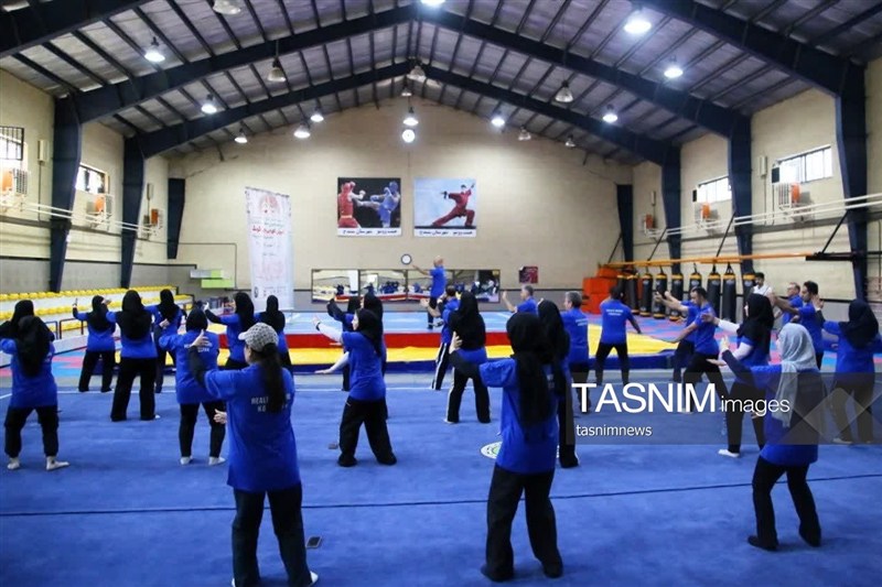 اخبار سنندج , اخبار استان کردستان , ووشو , ووشو ایران , 