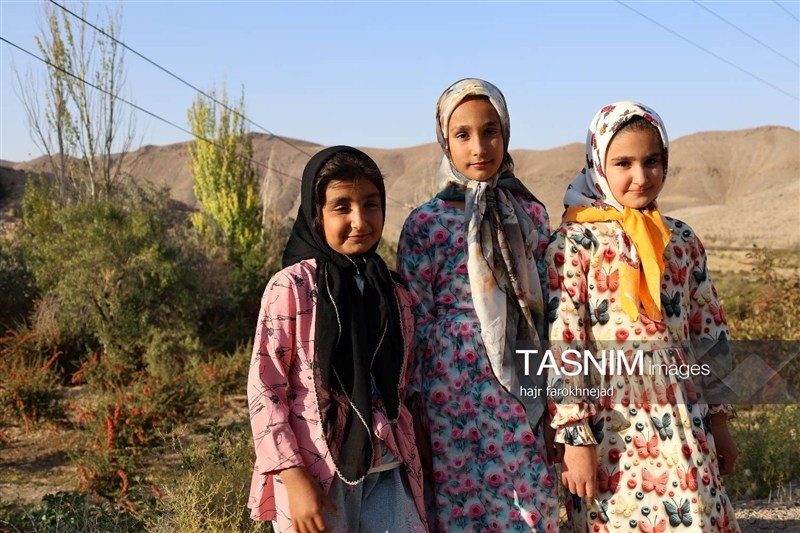اخبار استان خراسان جنوبی , خبرگزاری تسنیم ,