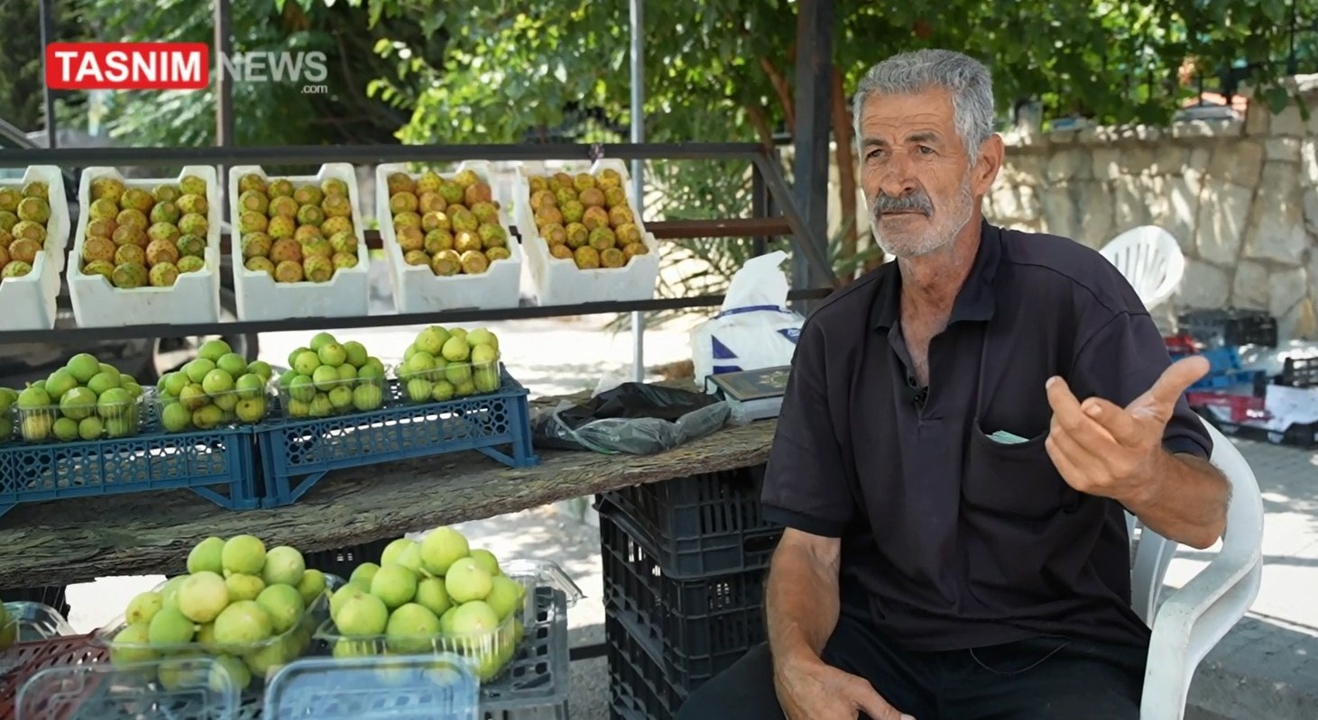 لبنان , جنوب لبنان , الكيان الإسرائيلي ,