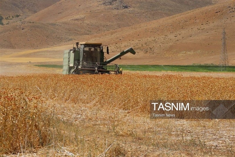 اخبار استان چهارمحال و بختیاری , اخبار شهرکرد , کشاورزی ,