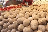 بهای سیاست‌های ناپایدار؛ از زیان کشاورز تا گرانی صیفی‌جات